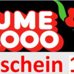 15%-Gutschein blume2000.de, Blumen , Rabatt-Code 3 15 Gutschein blume2000de Blumen Rabatt Code