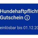 Check24 Hundehaftpflicht Gutscheincode 15E Einloesbar bis 01122026
