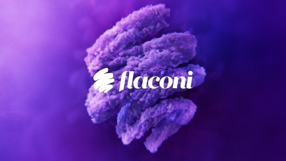  falconi 2×10€ gutscheincode, Sofortversand💫
